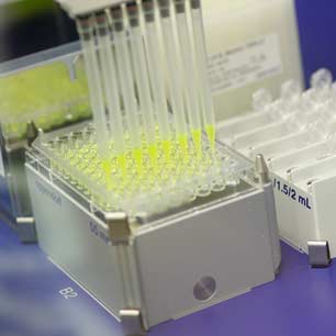 Dispositivo de pruebas microbiológicas en el laboratorio de Hohenstein